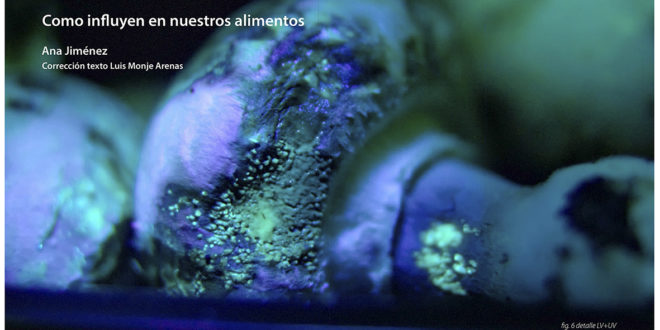 ESTUDIOS PARTICULARES